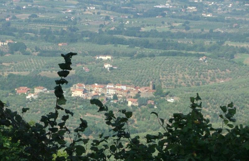 Podere Calistri Larciano Екстер'єр фото