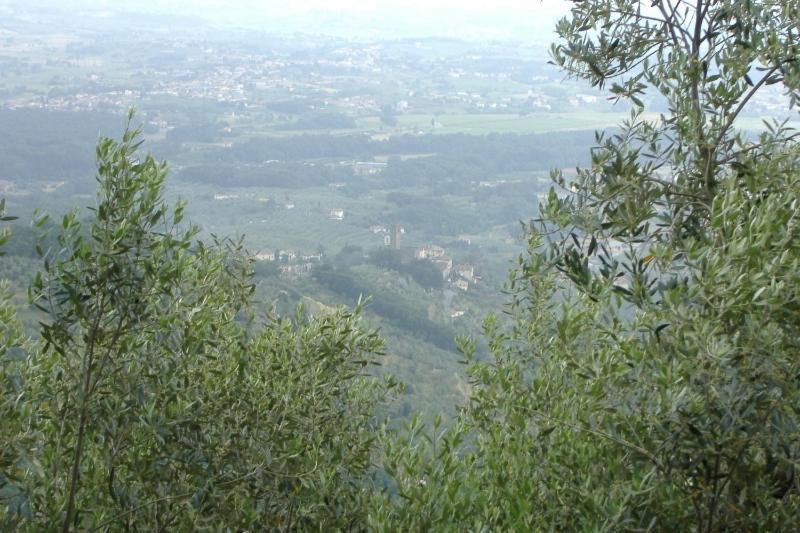 Podere Calistri Larciano Екстер'єр фото